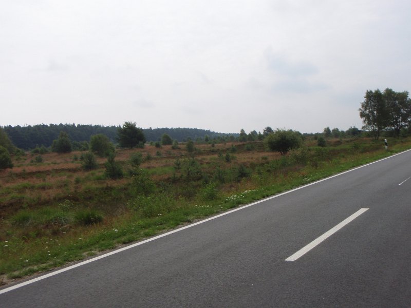 RTF Alpe d'Seevetal  178